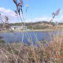 원관원제 이미지