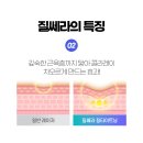 골든발란스의원 네이버블로그