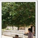 대창초등학교 이미지