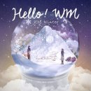 더블유엠 (WM)