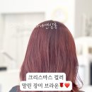 라나헤어살롱 - 제주시 노형1길 6 | 라나헤어살롱