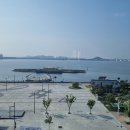 돌고래공인중개사사무소 이미지