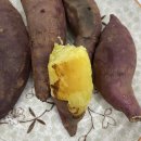 아어가지 이미지