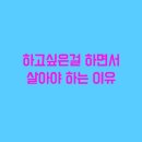 써지퀘스트 이미지