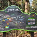 2021년11월14일(일요일) 장성군 축령산 [편백나무&삼나무] 숲 산행기 이미지