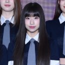 아이랜드 이미지