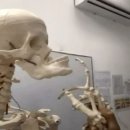여자의품격