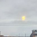 마리나아일랜드 | 안산) 대부도 디지털디톡스 아일랜드 숙소 대부도호텔 마리나