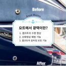 로얄마린