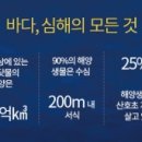 팔보 이미지