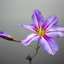 코코리 - 창원시 마산회원구 삼계본동3길 57 | 코코리