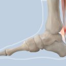 두정바른정형외과의원 이미지