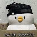 (유)대금투어 | 5월 이탈리아 9박 11일 항공/호텔 준비하기 ✈️🎧