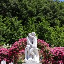 장미회집 이미지