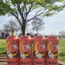 CU 세종소정점 | 호적메이트 딘딘맥주 핸드앤몰트 Y블랙 IPL 수제맥주