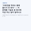"커큐민을 먹어도 몸에 흡수가 안 된다" — 이 문제를 기술로 푼 회사에 지금 무슨 일이 일어나고 있나