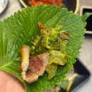 온천장 맛집 고생끝소금구이 온천점 후기｜허심청 농심호텔맛집으로 추천하는 고기집