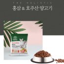 강아지 지니 네이버블로그