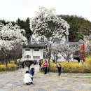 우암조경 이미지