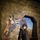 문경 오미자테마터널 이미지