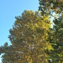 대공원역1번출구 이미지