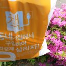 완월초등학교 이미지