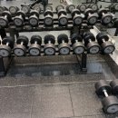 마인드휘트니스 야음점 | 🏋️‍♀️ 울산 야음 헬스장 추천 💪 마인드휘트니스 야음점 방문기!