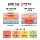 원앤원 플러스