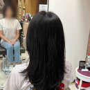준오헤어 대치점 이미지 컨설팅 커트 혜지 디자이너 '진짜'헤어컨설팅 후기