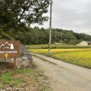 느루 캠핑장 이미지