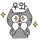 카페 클로젯