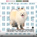 2026 케이펫페어 마곡 라인업 주차장 펫박람회 이벤트 정리