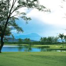 넥서스그린 이미지