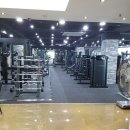 DY휘트니스 이미지