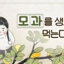 서툰 정성일지라도.. 하나님의 교회 이미지