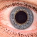 [<b>중앙</b><b>방역</b><b>대책</b><b>본부</b>] 전파력 최강 코로나 XBB.1.16 새 변이, 이미 국내 유입.