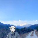 속초솔향민박