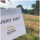 나무까까 이미지