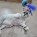 호텔미 이미지