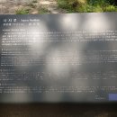 부소산성 사자루 이미지