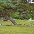 초원의 언덕 이미지