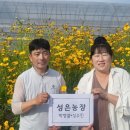 부부로2 이미지