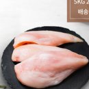 식스팩코리아
