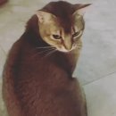 예민짱