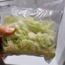 돌채 | [1년 사용후기] 주방 효녀 효자템 주방채썰기 고수 돌채 스핀 슬라이서