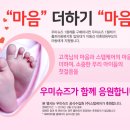 우리가족 패밀리슈즈는 씨루 아카로 장만!