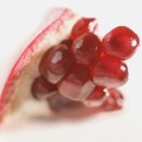 석류모텔 이미지