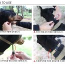 리더 유도짐 | 강아지 줄당김 방지 산책 훈련 ‘젠틀리더’ 직접 사용한 솔직 후기!