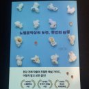 노벨문학상 알기 이미지