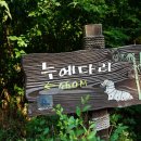 몽마르뜨공원 이미지